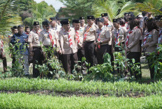  Jambore Daerah IX Gerakan Pramuka Sumatera Selatan 2026 Jadi Ajang Pembentukan Pemimpin Muda Berkarakter
