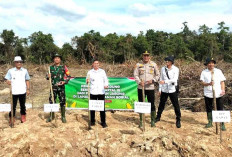 Dukung Program Ketahanan Pangan Prabowo, Desa Bumi Ayu Tanam Jagung Skala Besar