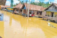 Banjir Sepekan Lumpuhkan Ekonomi Warga 