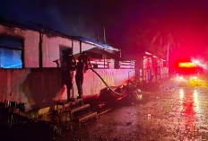 Tiga Armada Damkar Dikerahkan, Rumah Warga Kedaton Ludes Terbakar
