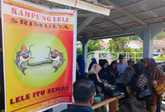 Budidaya Lele Sematang Borang Juara Kampung Kreatif Palembang 2025