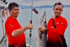 Dibalik Cerita GPFC Taklukkan Sea Mount Reef Lampung, Sukses Panen Raya Ikan dan Pacu Semangat Kebersamaan