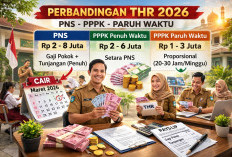 Cair Mulai Minggu Depan, Ini Perbedaan THR PNS, PPPK, dan Paruh Waktu 2026