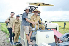 Produksi Gabah Naik, Banyuasin Peringkat 3 Nasional
