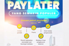 PayLater, Kemudahan yang Menipu? Waspadai Skimming Data dan Psikologi Konsumtif di Baliknya