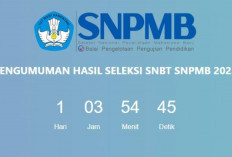 Gagal UTBK SNBT? Ini Daftar Kampus Negeri yang buka Pendaftaran Mandiri