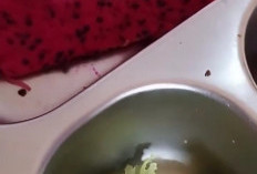 Siswa SD di Lubuklinggau Temukan Ulat di Buah Program Makan Bergizi Gratis