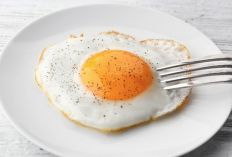 Sehat Telur Ceplok atau Dadar, Ini Jawabannya
