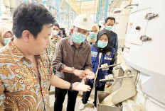 Pabrik Beras Wilmar di Banyuasin Tunggu Gabah dari OKU Timur, Kena Sidak PT BPR Akui Mixing Beras Premium Raja