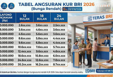 BRI Salurkan KUR Rp31,4 Triliun hingga Mei 2026, Dorong UMKM Naik Kelas dan Perkuat Ekonomi Nasional
