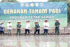 OKU Timur Jadi Contoh Nasional Daerah Produktif Pangan