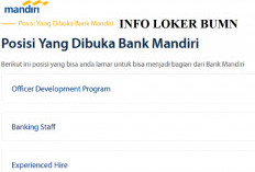 Loker BUMN Bank Mandiri Resmi Buka! Penempatan Seluruh Indonesia, Bisa Pilih Sesuai Domisili