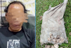 Pencuri Getah Karet Nyaris Tewas Diamuk Massa