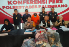 Kasus Rudapaksa Anak Kandung, AL Ditangkap Polisi di Palembang