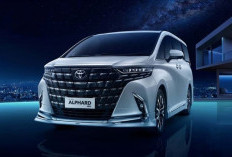 Toyota Alphard XE 2026, Kemewahan Kini Lebih Dekat, Pilihan Bensin dan Hybrid Semakin Efisien