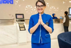 Pilih 8 Jurusan Kuliah Ini Kalau Mau Dilirik BRI BUMN Idaman Banyak Fresh Graduate Ambisius