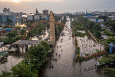 Penyebab, Dampak, dan Cara Mengatasi Banjir Rob