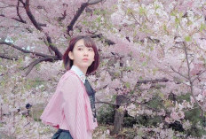 Manfaat Bunga Sakura untuk Kesehatan dan Kecantikan Kulit