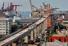 PSN Papua Dorong Penciptaan Lapangan Kerja dan Akses Kesejahteraan bagi Masyarakat Lokal