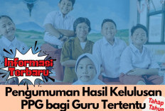 Dirjen Nunuk: Potensi Lulus PPG Tinggi, Berapa Persentase Kelulusannya? Simak Penjelasan Berikut