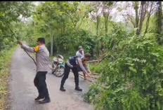 Polsek Pendopo Antisipasi Banjir dan Bersihkan Pohon Tumbang: Respons Cepat Menjelang Cuaca Buruk