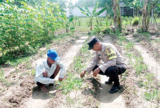  Hasil Jualan Penuhi Kebutuhan Keluarga