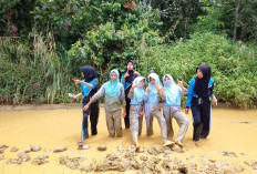 Bikin Geleng Kepala! Jalan Desa Sadu Mura Rusak Total, Pelajar Sampai Foto di Genangan Lumpur