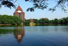 Jejak Digital Kampus: Universitas dengan Followers Instagram Terbanyak di Indonesia