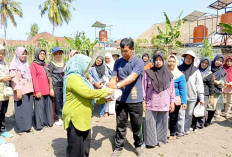 KWT Srikandi Tanam Bawang Perdana