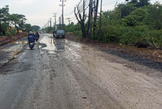 Lalin Palembang-TAA Sudah Normal, Wajibkan Pelebaran Bahu Jalan