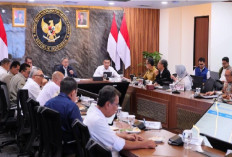 Perkuat Pengendalian Alih Fungsi Lahan Sawah, Wamen Ossy: Targetkan Peta LSD Baru di 17 Provinsi