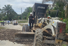 Sinergi Nyata, Jalan 7 Km di Pulai Gading Diperbaiki: Kolaborasi Kecamatan dan Perusahaan Diperkuat