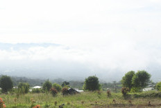 ERUPSI MENGEJUTKAN! Gunung Api Dempo di Pagar Alam Semburkan Abu Vulkanik Setinggi 200 Meter 