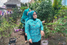 Dukung Ketahanan Pangan, PKK Desa Puluh Beruang OKI Ubah Lahan Kosong Jadi Kebun Toga dan Buah