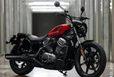 Harley-Davidson Rp 40 Jutaan? Ini Fakta Sebenarnya di Balik Motor 'Murah' yang Lagi Viral!