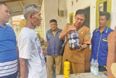 Sulap Urine Kelinci jadi Pupuk Organik Cair