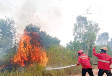 Selesaikan Pemadaman sebelum Tengah Malam, Petugas Mulai Kesulitan Sumber Air
