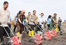  Kapolda Sumsel: Hasil Panen Langsung Diserap Offtaker, Penanaman Jagung Serentak Dukung Swasembada Pangan 