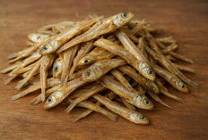 Si Kecil Kaya Nutrisi, Ikan Teri, Sumber Protein Tinggi yang Ramah di Kantong