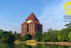 Daftar PTN dengan Pendaftar Terbanyak UTBK SNBT 2025: Di Mana Posisi UI?