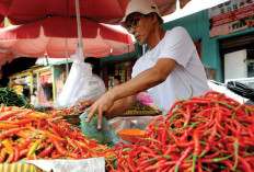 Stok Banyak, tapi Harga Cabai Naik Turun