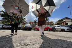 Prakiraan Cuaca Sumatera Selatan Suhu Tinggi Hingga 36°C pada Kamis, 31 Oktober 2024