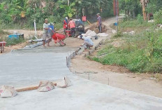 Utamakan Pembangunan Infrastruktur Desa, Desa Senawar Jaya