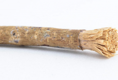 Gigi Ingin Putih, Gunakan Bahan Alami Ini