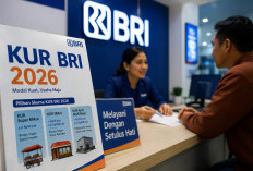 KUR BRI 2026 Bikin Pelaku Usaha Tersenyum Lebar, Ini Penyebabnya!