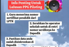 Info Penting Penerbitan Serdik, LPTK Mulai Verifikasi Data Peserta dengan Sistem GTK, Ini Ketentuannya