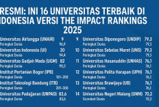 Resmi: Ini 16 Universitas Terbaik di Indonesia Versi THE Impact Rankings 2025, Kampusmu Termasuk?