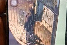 Terekam Video CCTV, Dua Pelaku Curanmor Kembali Beraksi