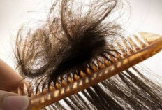 Tips Ampuh Mengatasi Rambut Kusut: Rahasia Cantik dengan 6 Bahan Alami, Cobalah!
