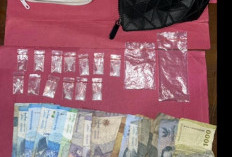 Penuhi Kebutuhan Hidup, IRT Nyambi Bisnis Haram, Polisi Sita 13 Paket Sabu